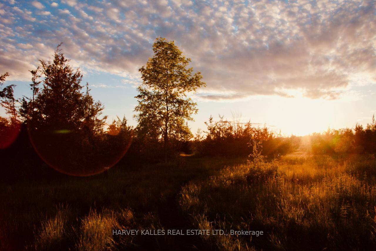 Looking for your own slice of bliss in Prince Edward County ?