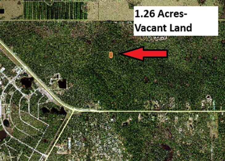 Undeveloped lot with 1. 2 acres near Indian Lakes Estates and Hesperides Road.