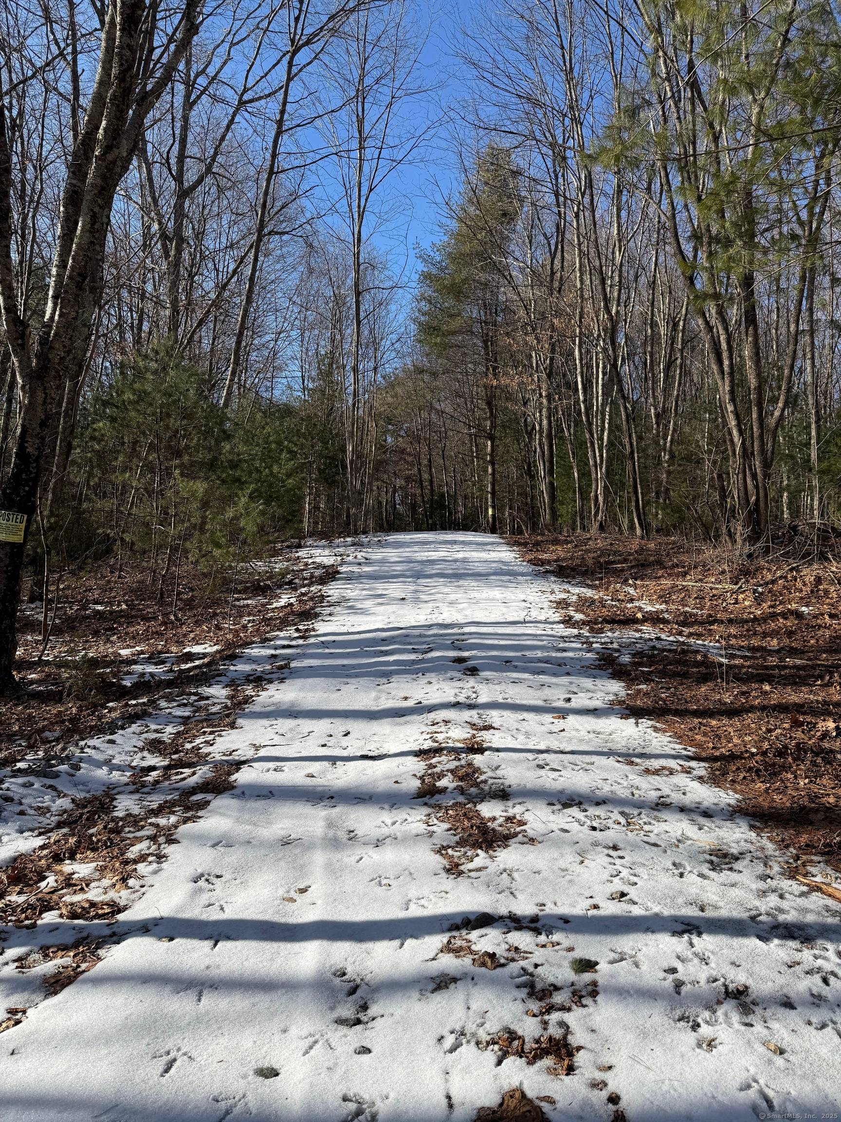 Gorgeous land ! Homesteaders, family compound ?