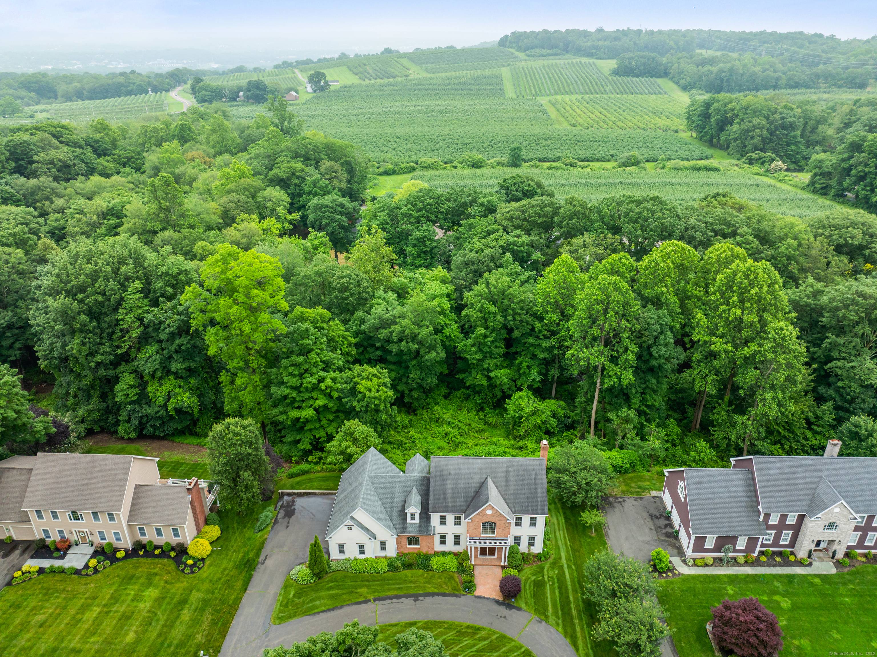 Not Your Typical Cookie Cutter Colonial.