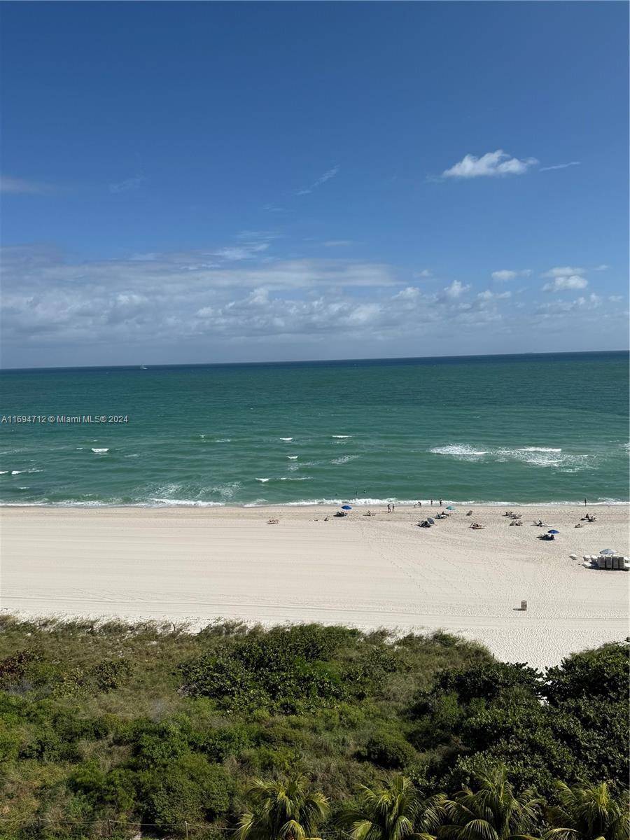 Incredible direct ocean view !