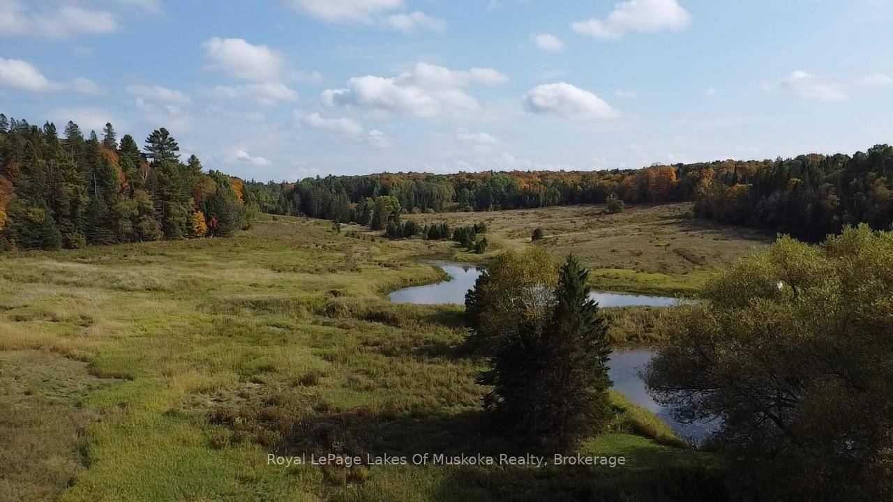 Nestled just minutes from the charming village of Rosseau and 30 minutes to the town of Huntsville, this expansive property offers endless possibilities.