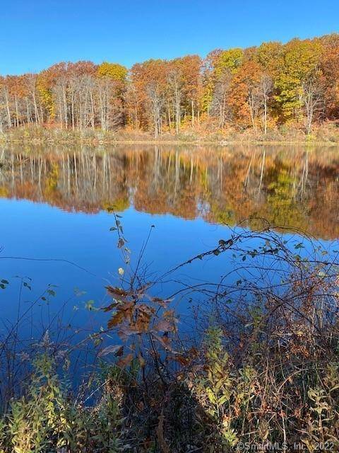 LITCHFIELD HILLS SECLUDED 10 ACRE SWIMMING LAKE fed by the pure headwaters of the Bantam River and natural springs.