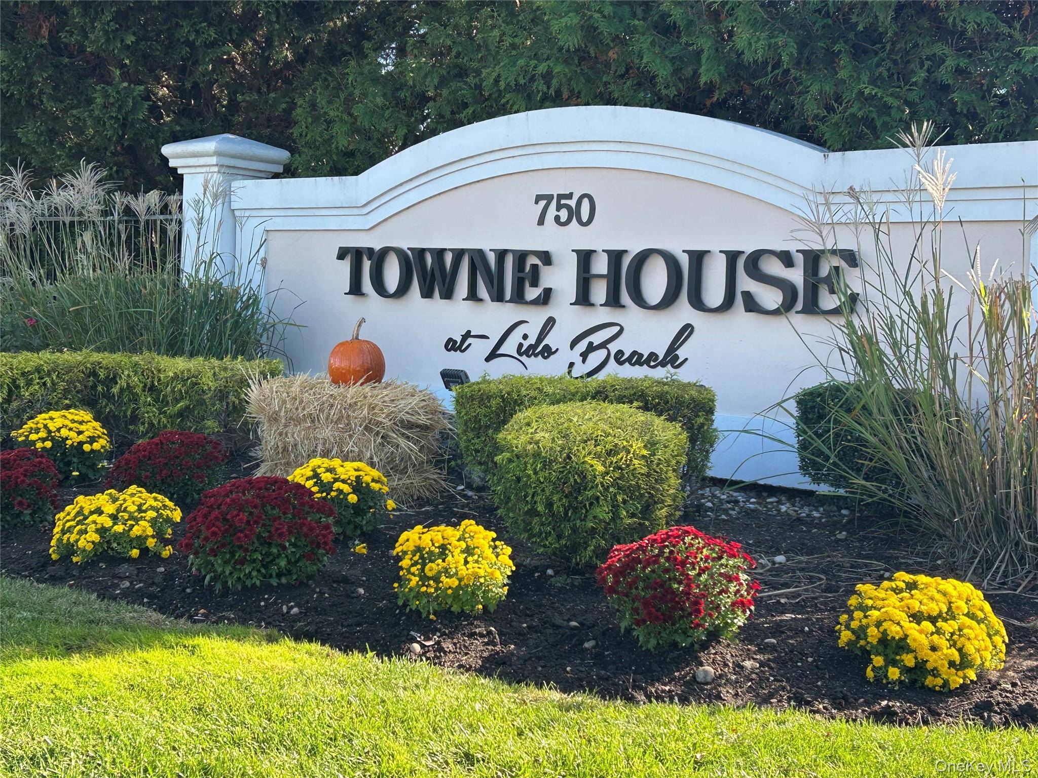 Don't Miss this Opportunity !