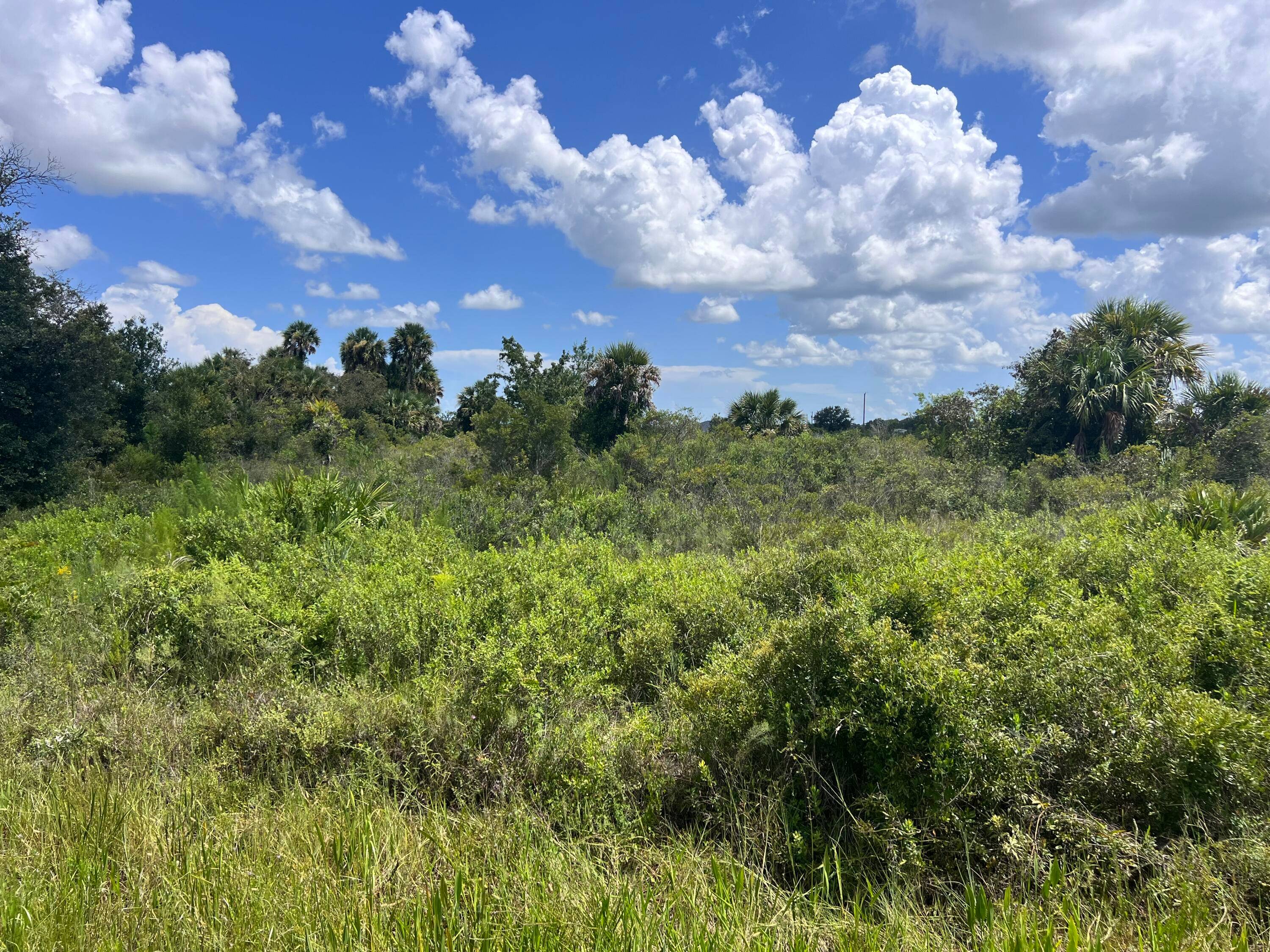 DRY HIGHLAND... 1. 25 ACRES WITH GREAT ACCESS AND POWER ON TWO SIDES !