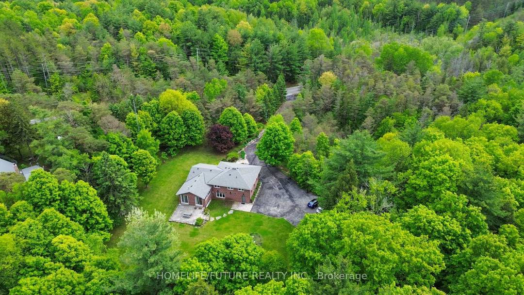 Welcome To Your Private Woodland Oasis On 12.