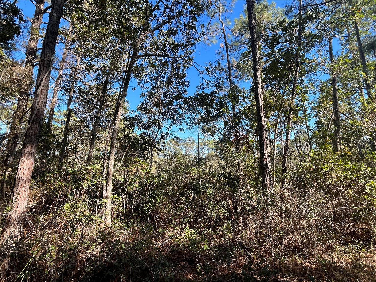Don't Miss out on this vacant lot in growing Putnam County.