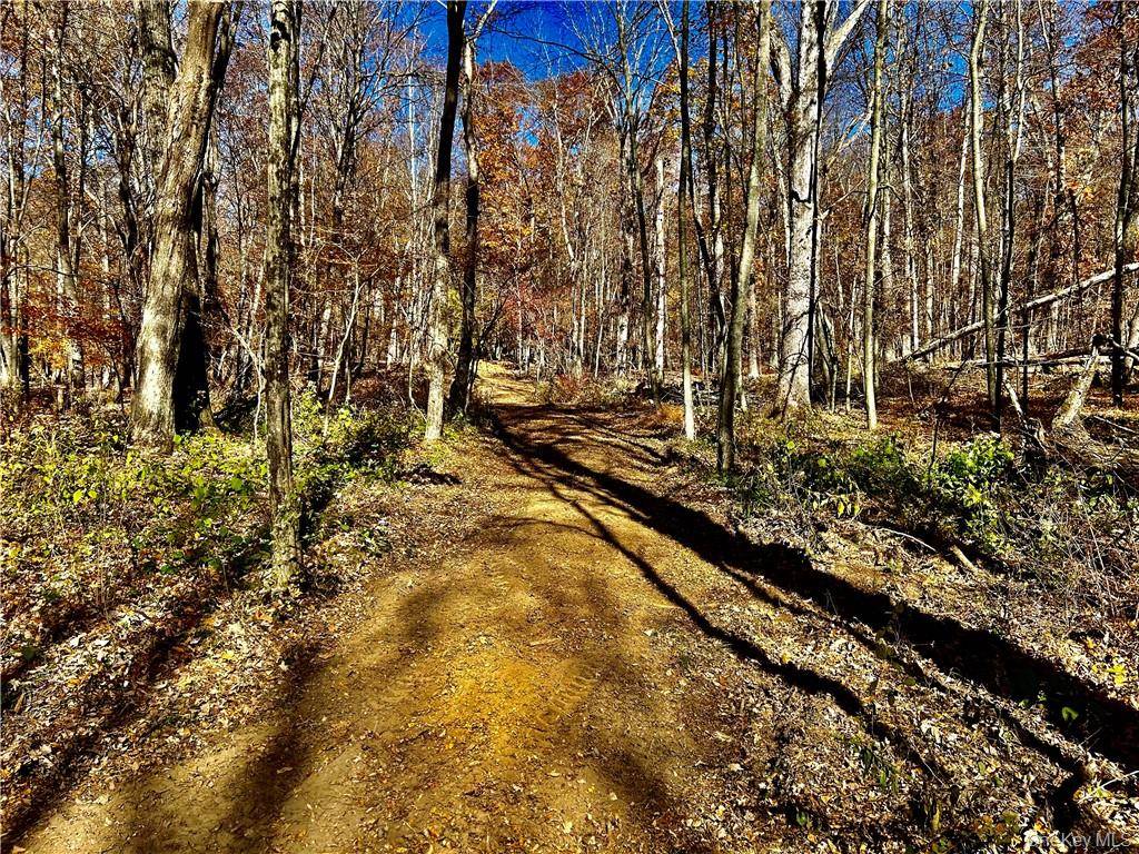 42 plus acres in the heart of Ancram, New York.