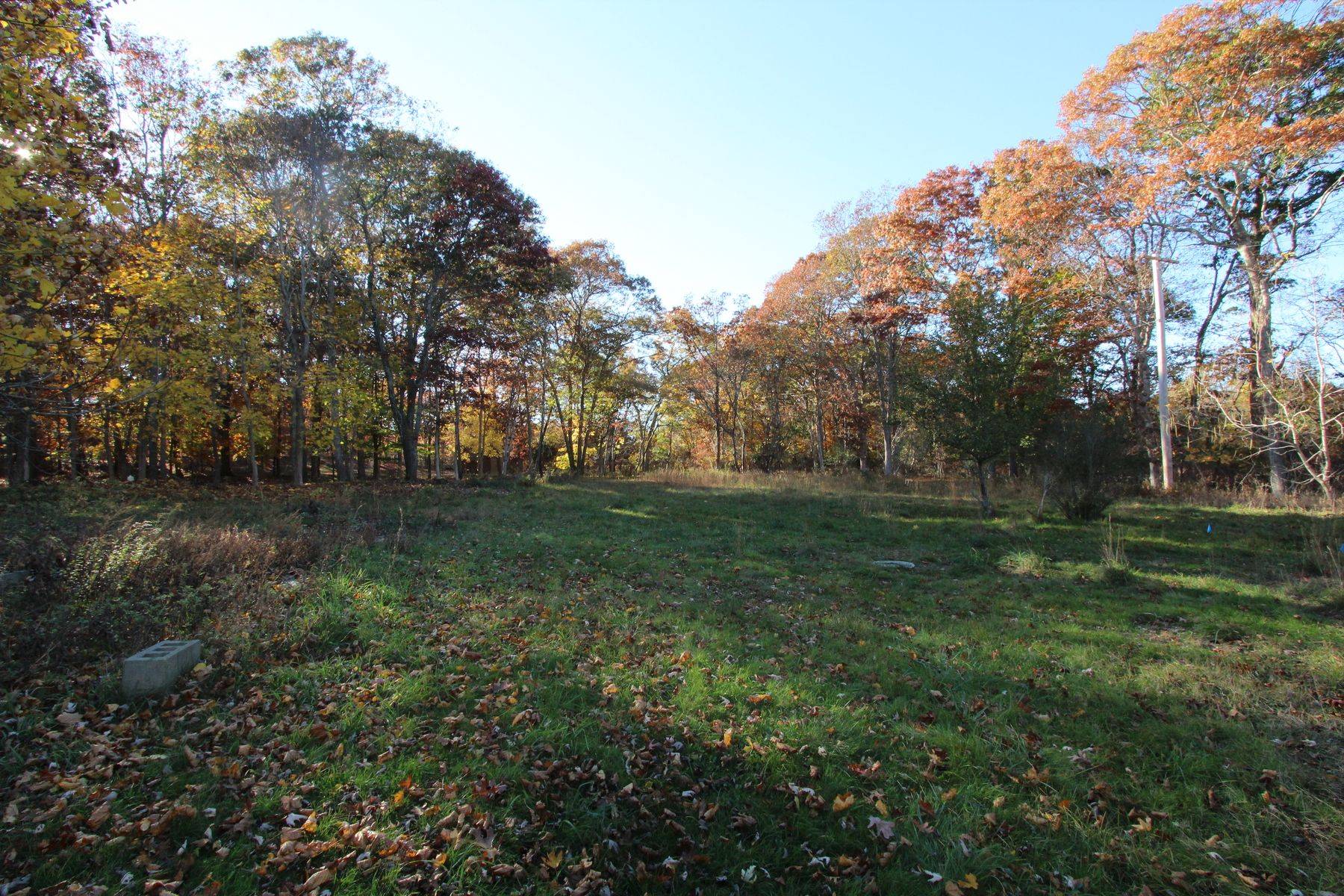 Cleared Lot Bridgehampton
