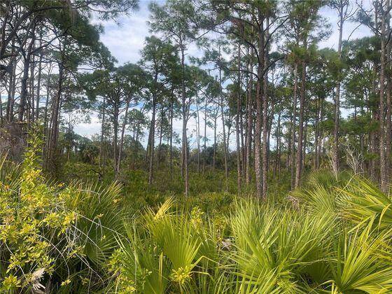 Great property to build your home, close to shopping, dining, and only 25 minutes to Venice Beach.