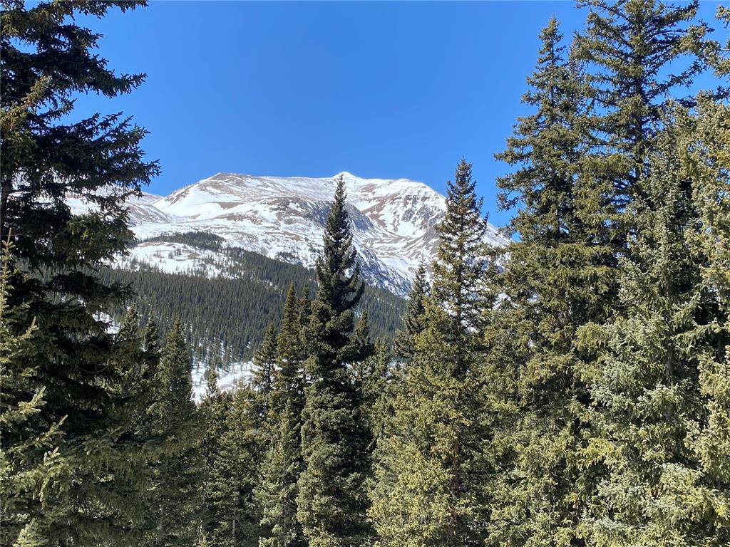 RARE 3 ACRES ! Located in popular Placer Vally Subdivision, this lot has it all !