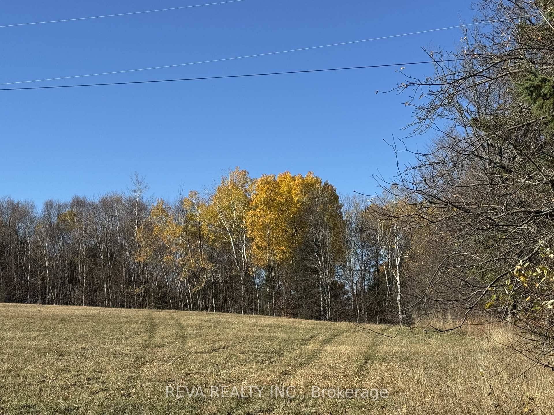 Discover 10 beautiful acres on Mallard Lake Road a young hardwood forest, rolling hill, and open field are ready for your dream home.