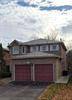 Newly renovated basement apartment in a great neighborhood.