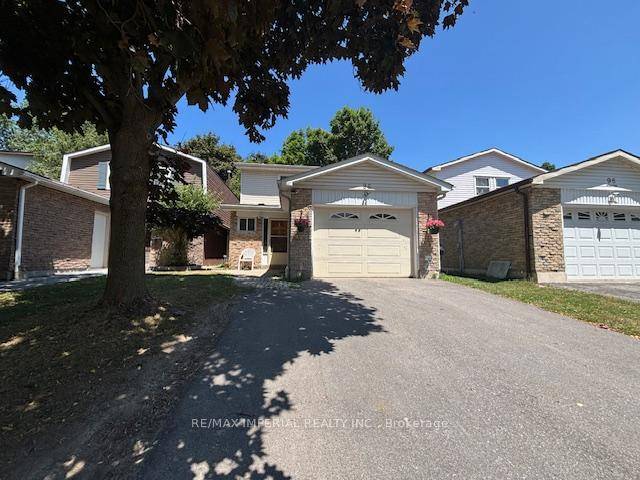 Welcome to this cozy and well maintained 1 bedroom, 1 bathroom basement apartment located at 96 Ashridge Drive in Scarborough highly desirable Agincourt North neighborhood.