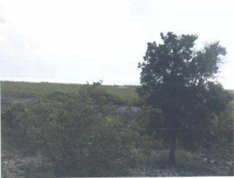 PARCEL OF LAND AND IMPROV Single Family Home Andros