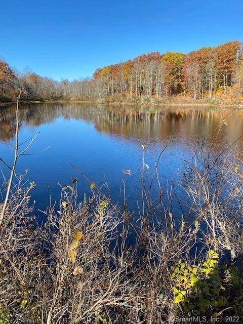 LITCHFIELD HILLS SECLUDED 10 ACRE SWIMMING LAKE fed by the pure headwaters of the Bantam River and natural springs.
