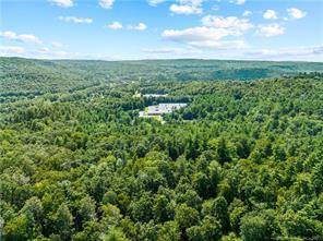 57. 84 Acre lot in New Hartford CT.