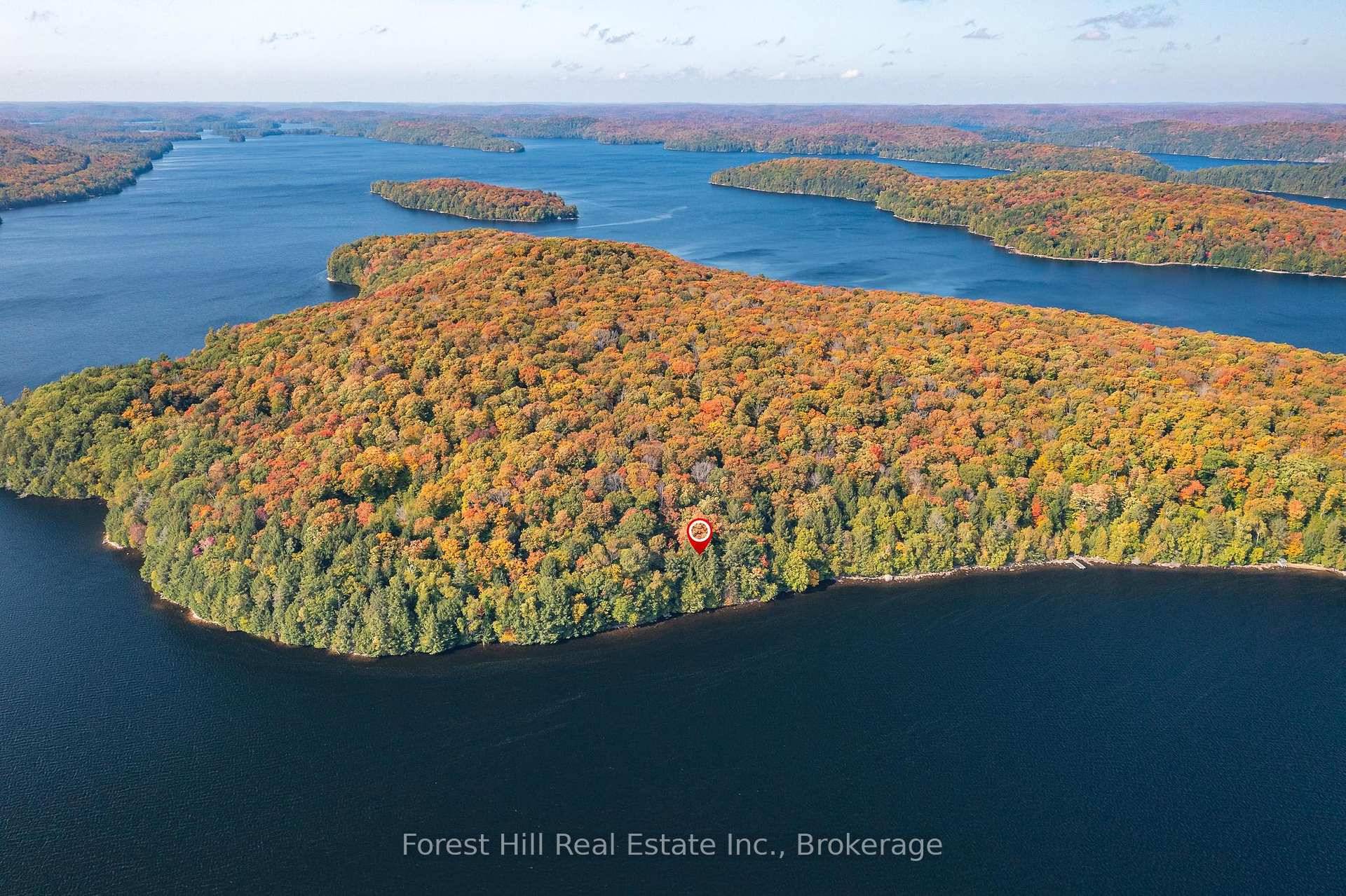 Maturely treed, deep building lot on Haliburton's largest lake with 308' rocky sandy shoreline and 4.
