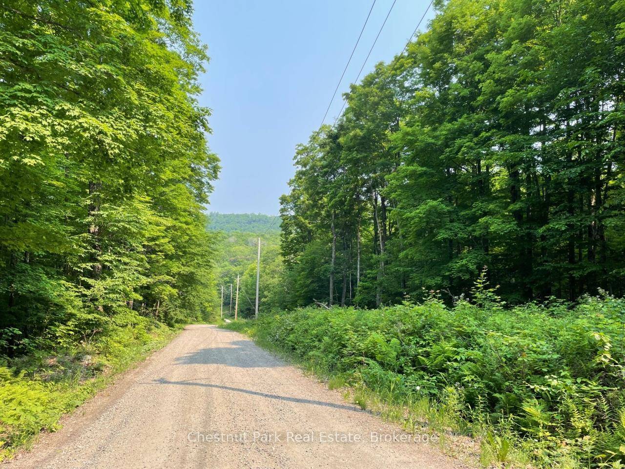 Well treed building lot with a level area perfect for your future home or retreat from the city.