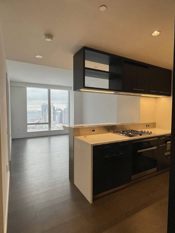 Residence 47N at One Manhattan Square is an exquisite one bedroom, one bathroom unit with just over 700 square feet of living space.