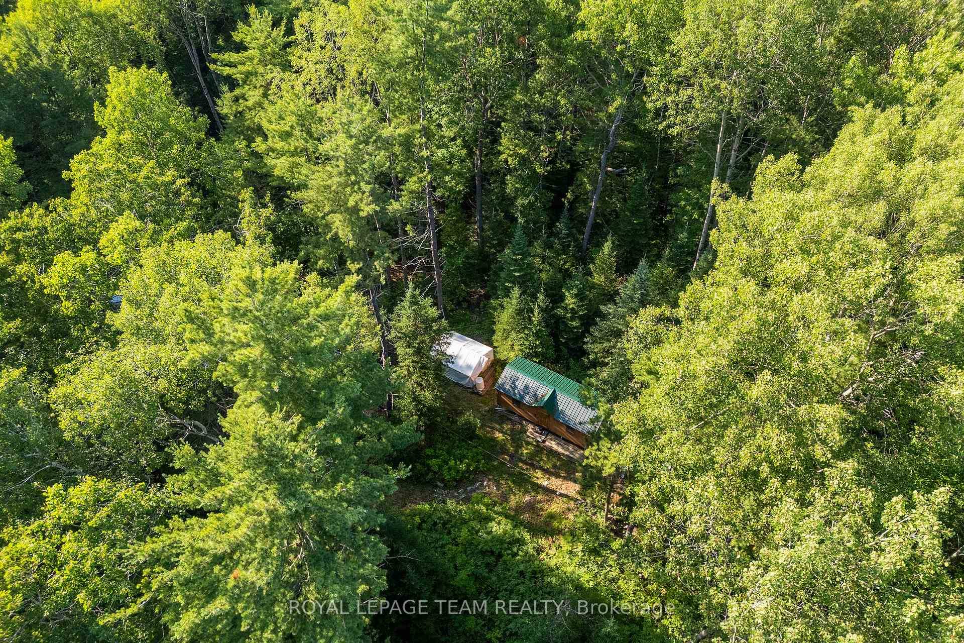 Tucked away in the towering trees, this 11 acre parcel is your chance to truly unplug, offering a cozy cabin and the peace of nature in an untouched forest poplar, ...