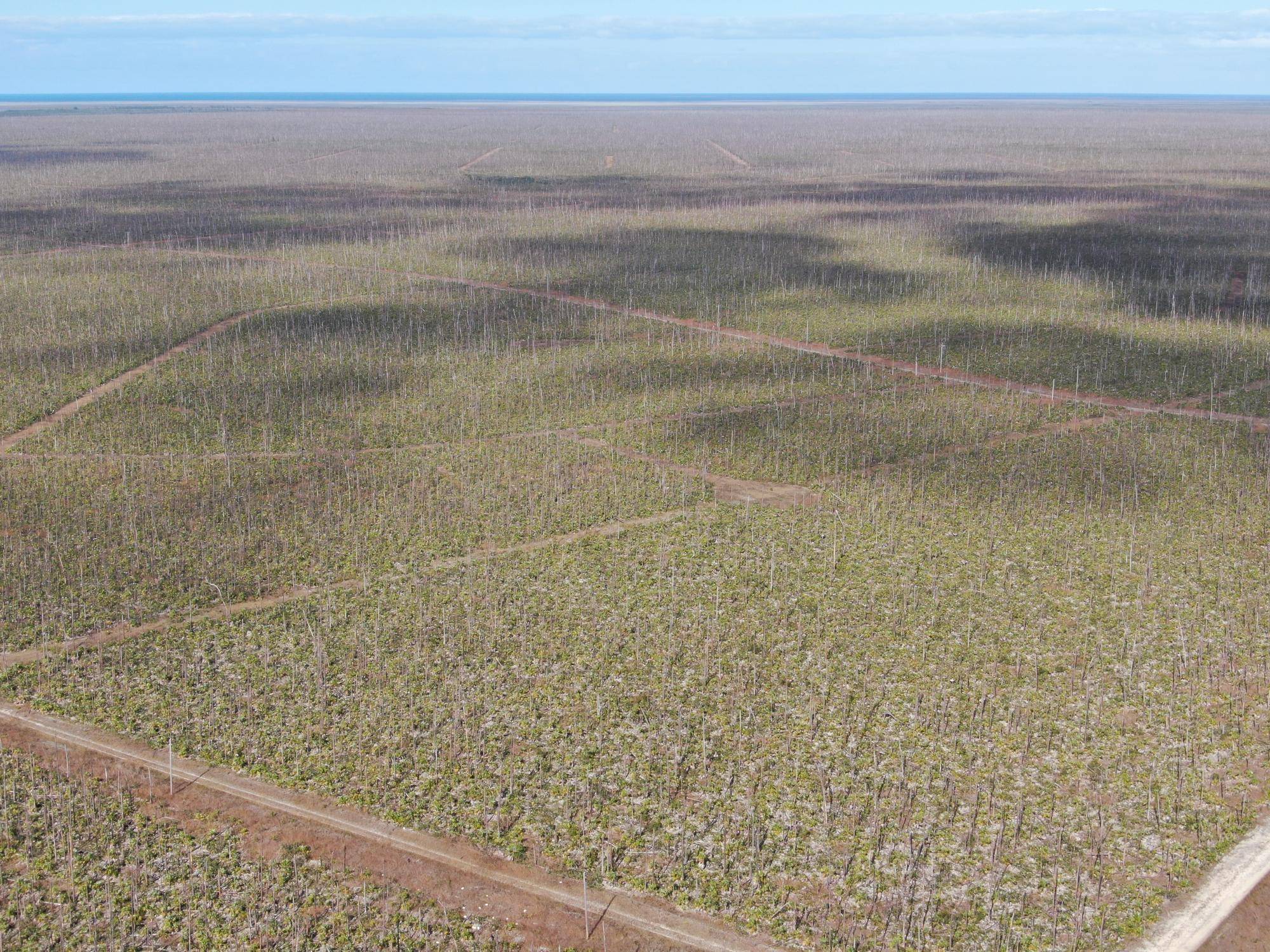 LUCAYA ESTATES Land Grand-Bahama-Freeport