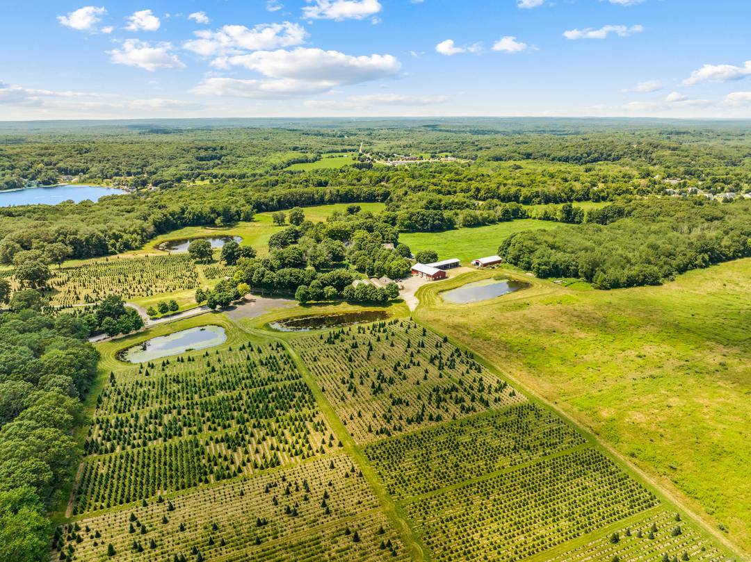 Maple Lane Farms is a unique, one of a kind, property and potential business opportunity consisting of approximately 225 contiguous acres with approximately 114 acres located in the town of ...