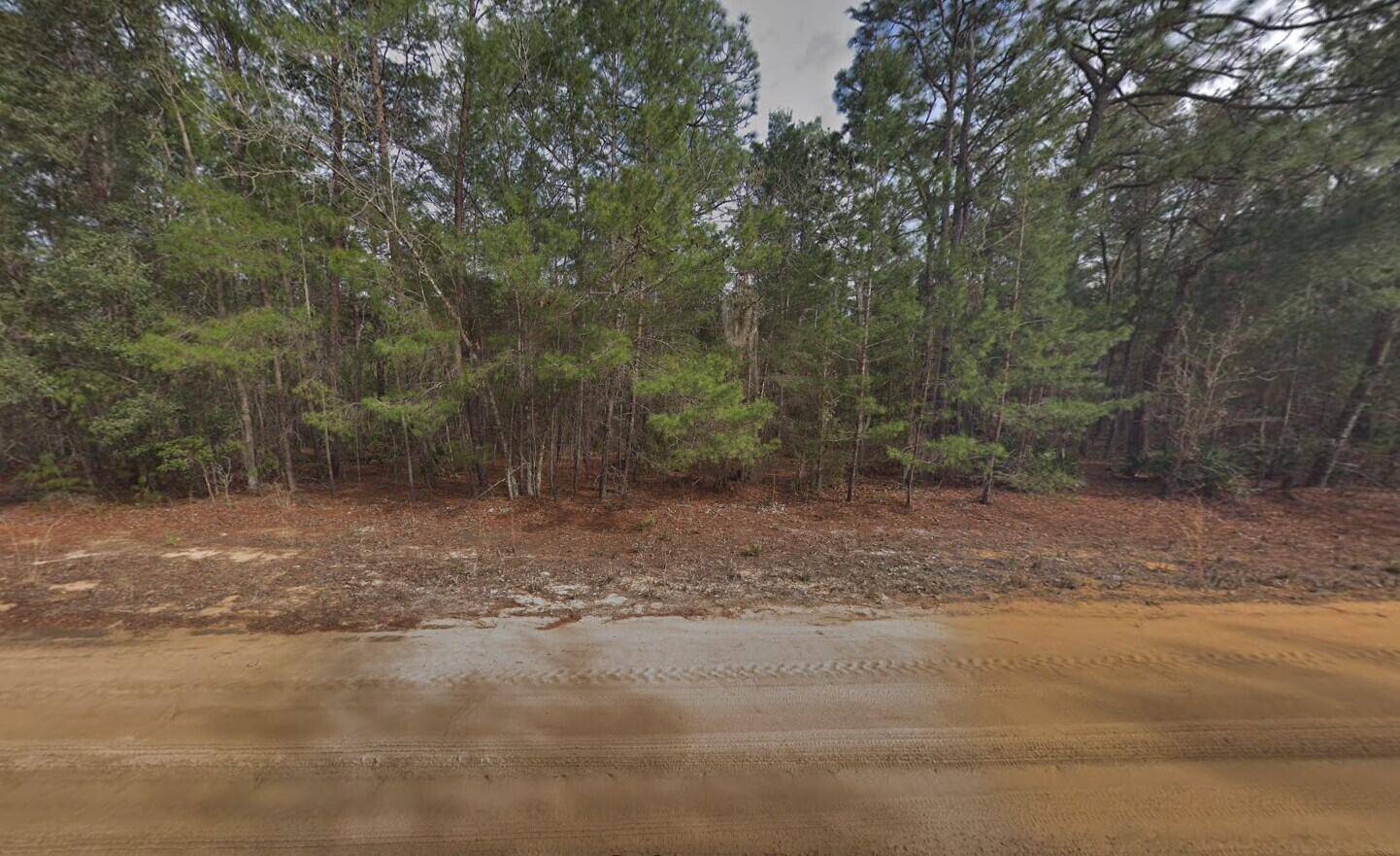 Build or bring your mobile home to this stunning lot in the growing city of Interlachen.