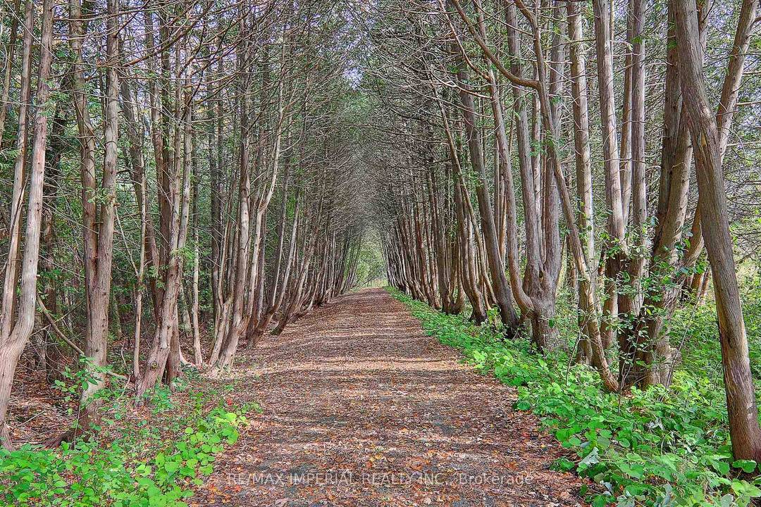 55. 15 Acre Private Retreat, Family Compound, 10500Sf Liv Space !