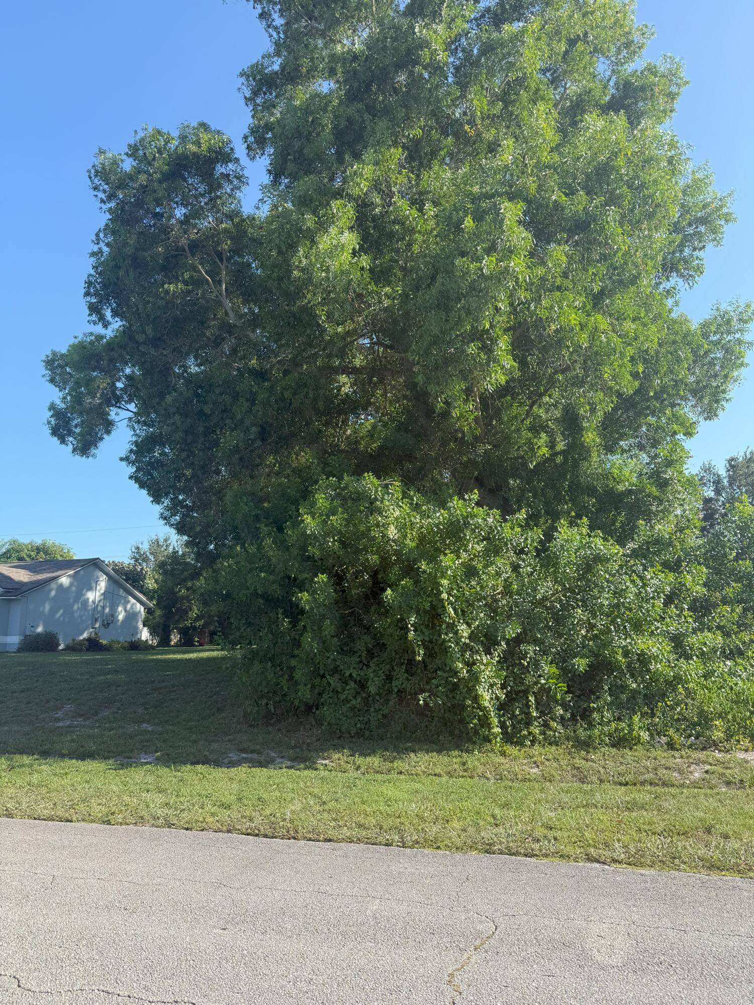 Partially cleared lot. Unbranded Virtual Tour https www.