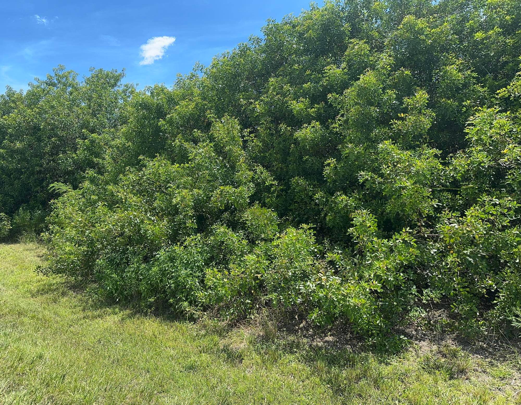 Beautiful oversize corner Lot in the beautifully developed Tradition area some commercial zoning on the same block.