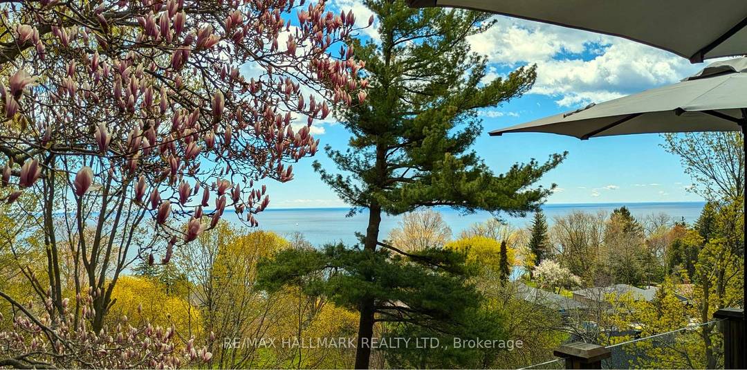 Welcome to your own private oasis in the Bluffs.