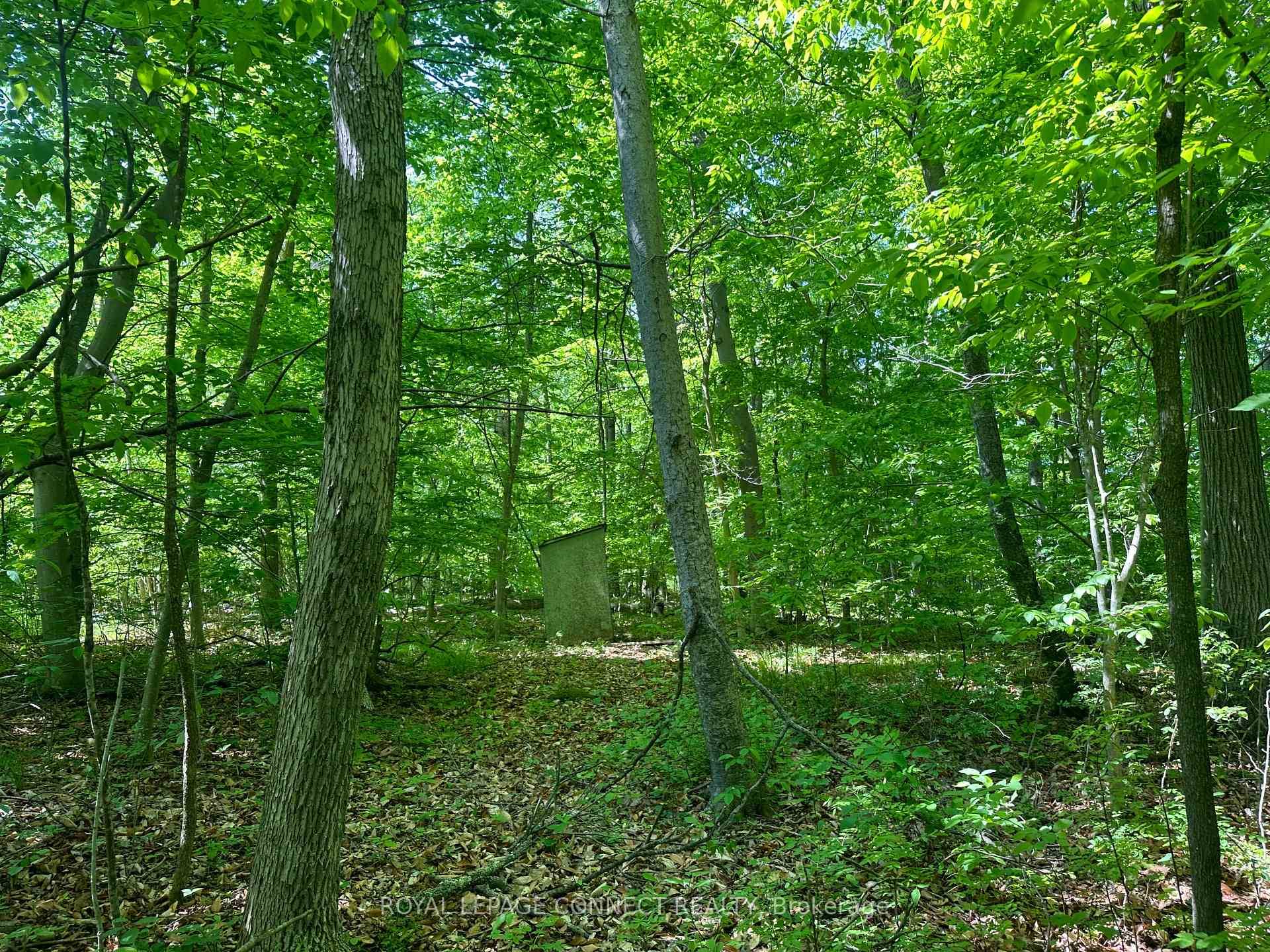 A Woodland Waterfront Retreat 183 Ft of Shoreline Near Campbellford.
