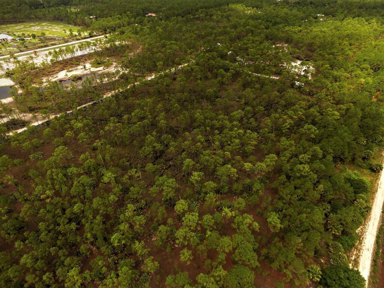10 acres of land ! ! Embrace the freedom to design and build on this perfect canvas to craft your dream home and MUCH MORE !