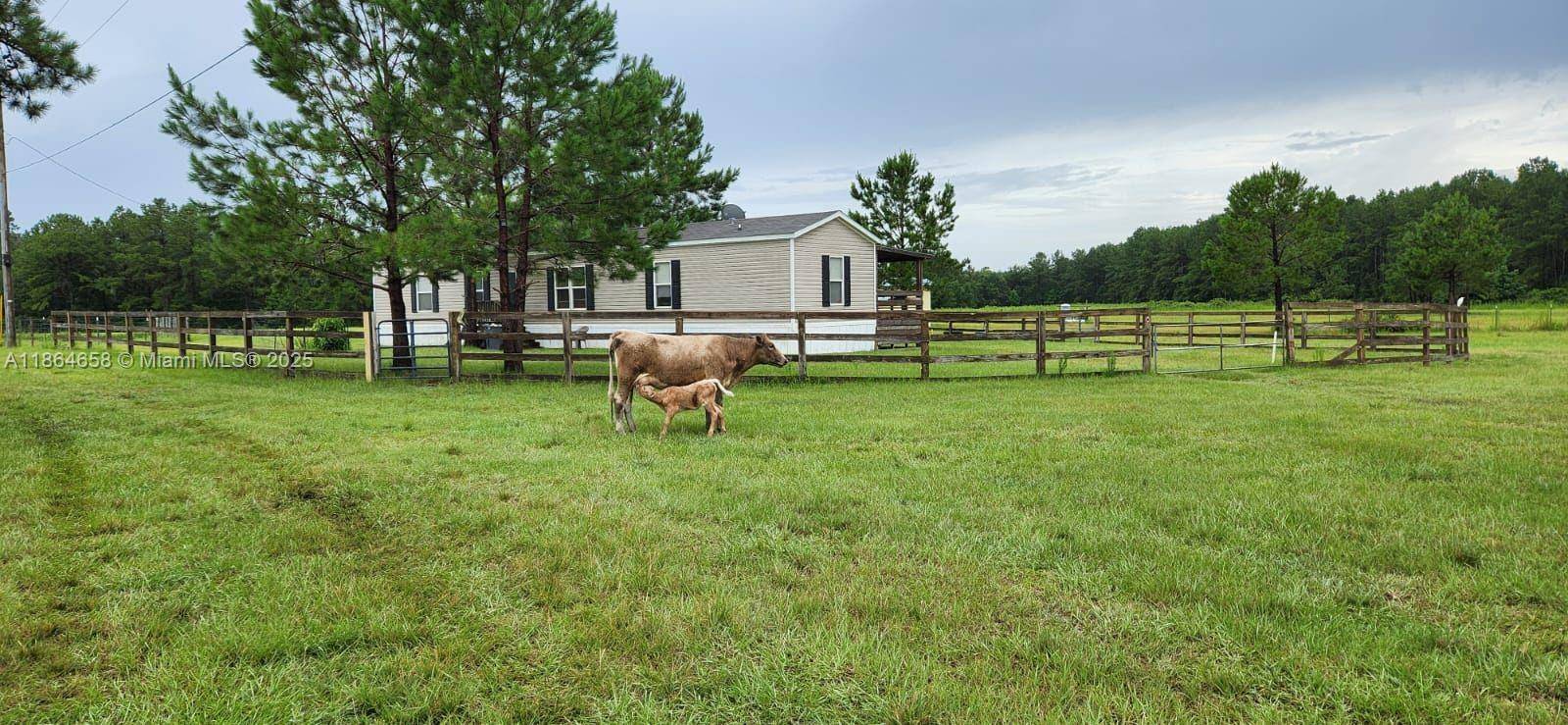 Spanning 65 fully fenced acres, this versatile property blends comfort, infrastructure, and natural beauty.