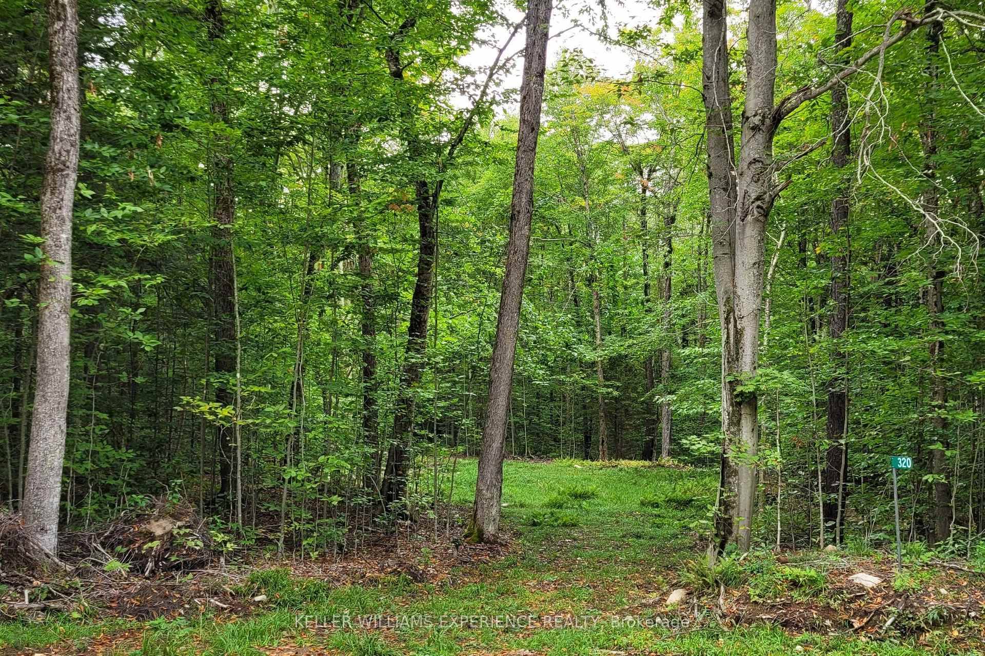 Discover the perfect balance of privacy, natural beauty, and recreational opportunity with this 25 acre off grid parcel located at 320 Proudfoot Road in Joly.