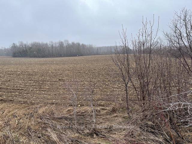 West Grey Farm This 75 acre farm has 20 acres workable, plus a mixed bush and an excellent building site.
