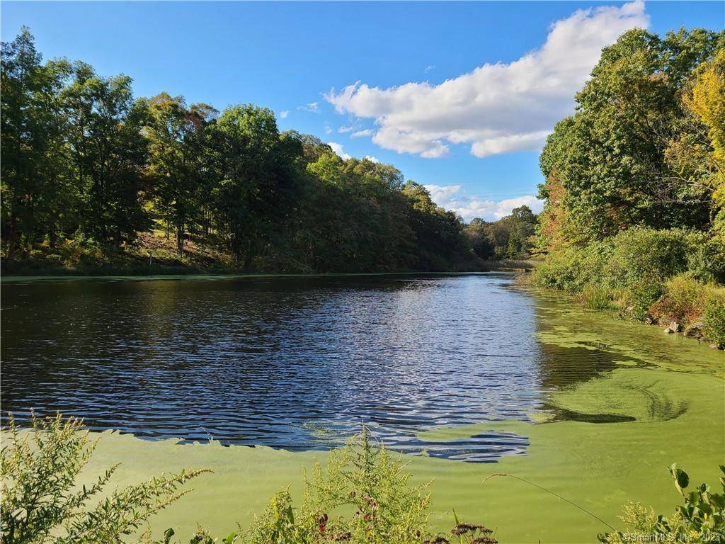 Natural Retreat in Danbury CT A unique, wooded 19 acre retreat, showcasing a pond, within an urban setting and offering unique opportunity to build a family retreat or subdivision, Located ...