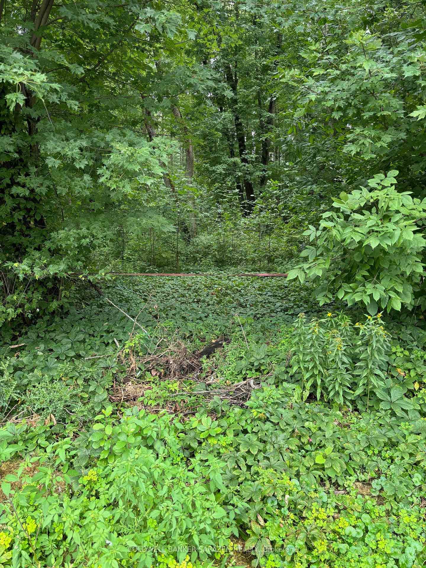 Accessible from a municipal road, but NOT a buildable lot due to floodplain zoning restrictions, as per the Mississippi Mills Conservation Authority, which restricts permanent development but allows for seasonal ...