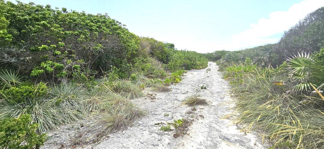 WHALE POINT ESTATES Land Eleuthera