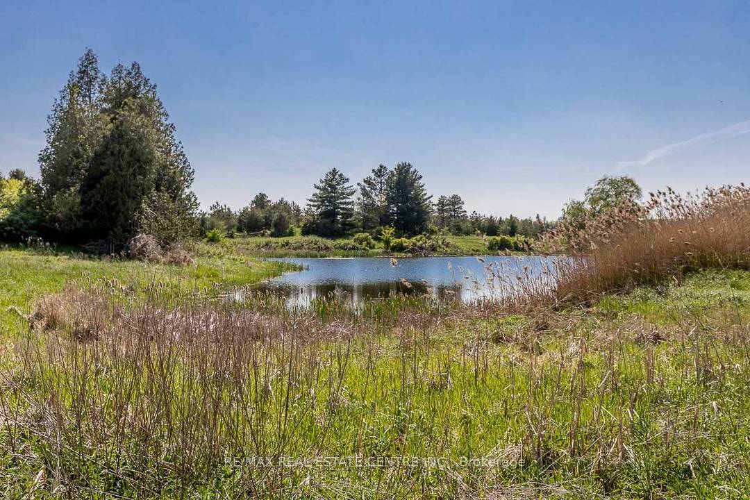 The Opportunities Are Endless For This Beautiful Picturesque 51.