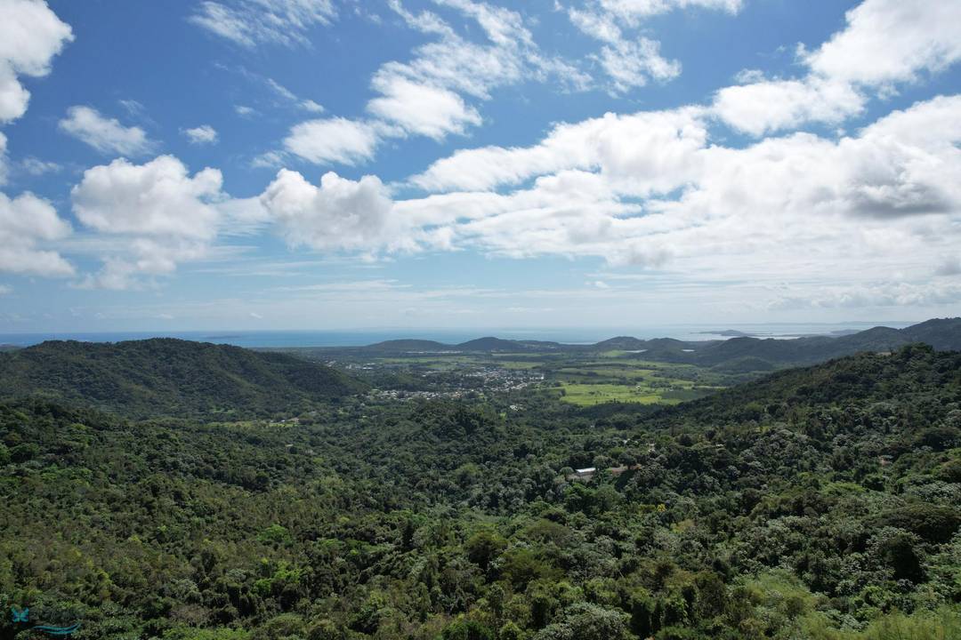 CARR. PR#984 Land Fajardo