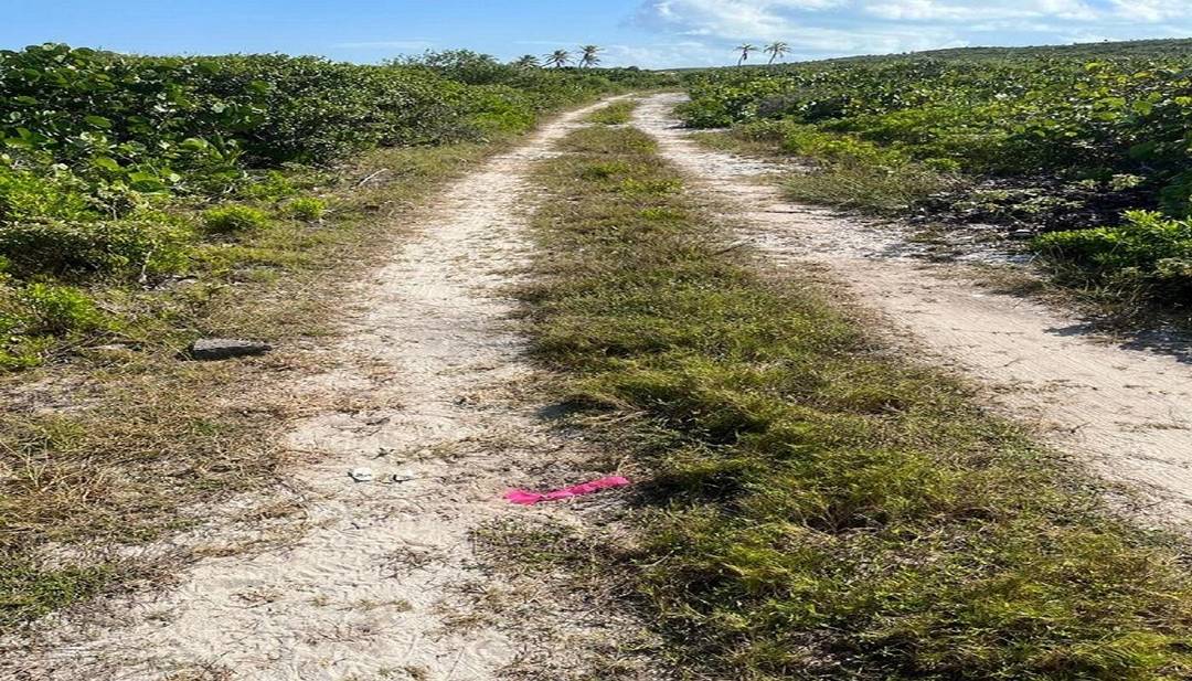LOT 1B MILLERS Land Long-Island-Bahamas