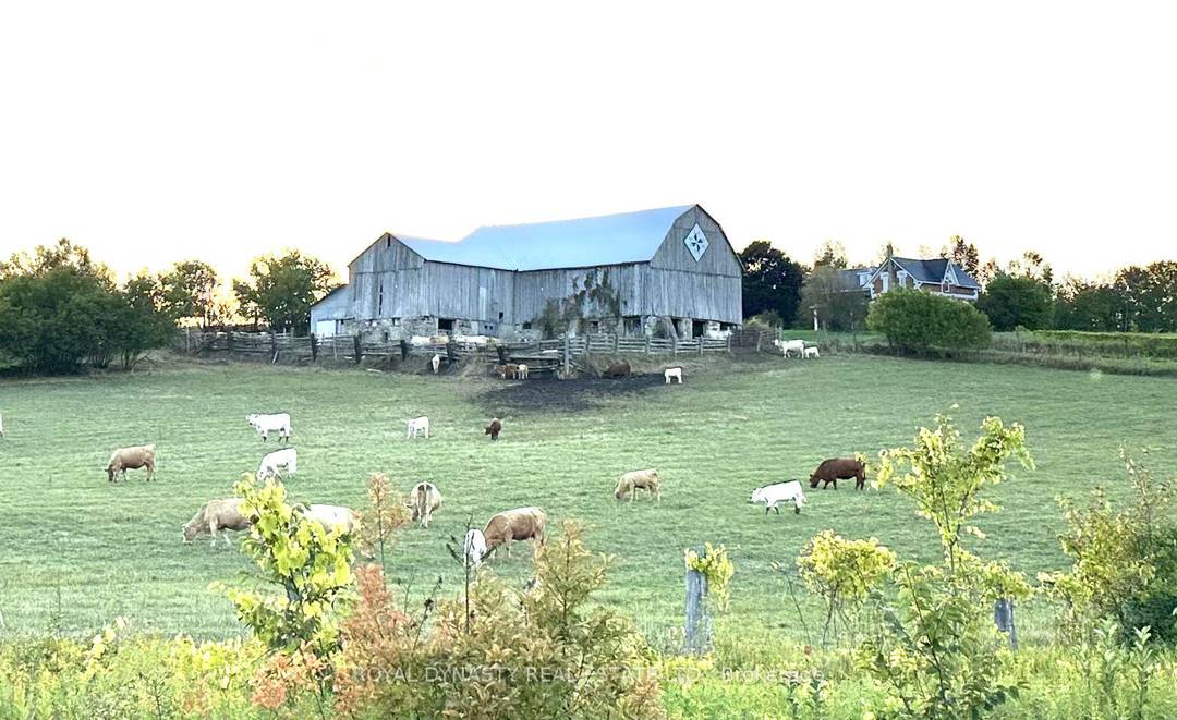 100 acre farm with 65 workable acres.