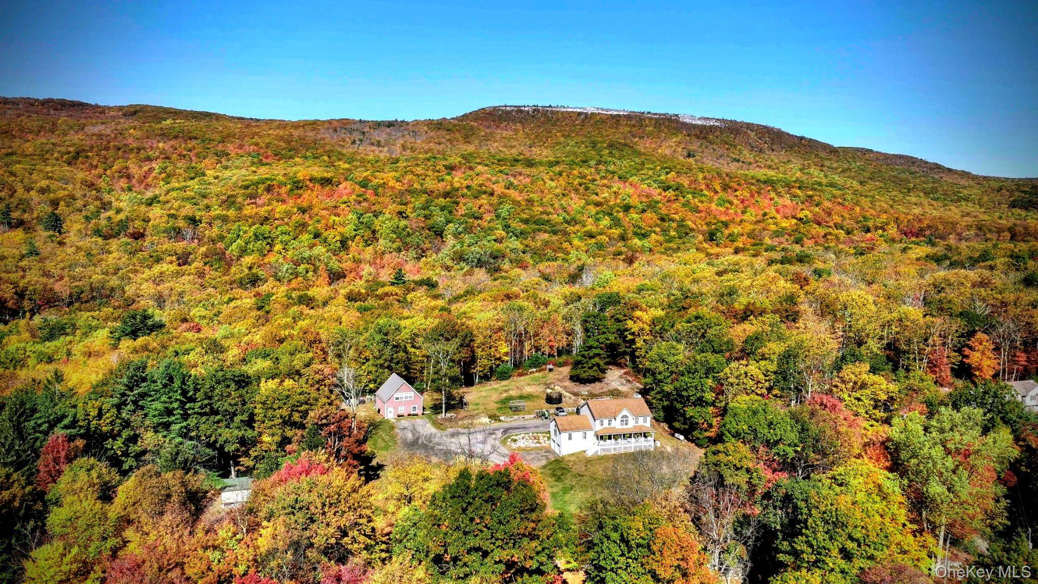 Here is your opportunity to own a versatile homestead with something for everyone !