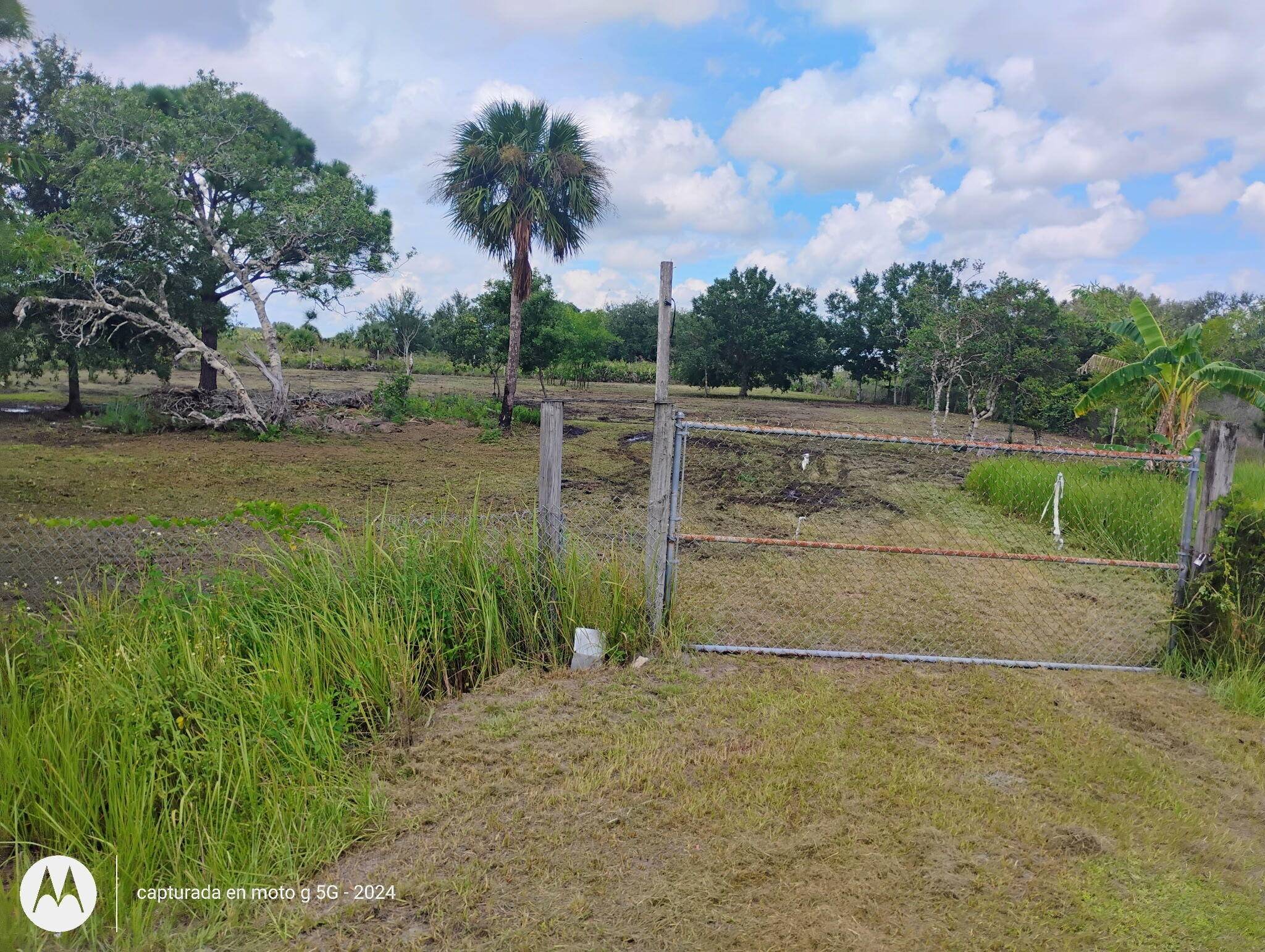 Discover 1. 25 acres of vacant land in Okeechobee, ready for your vision !