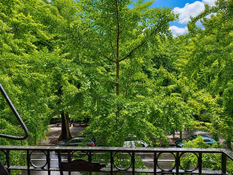! Spacious and sunny 3 bedroom, 2 bathroom apartment across the street from Central Park.