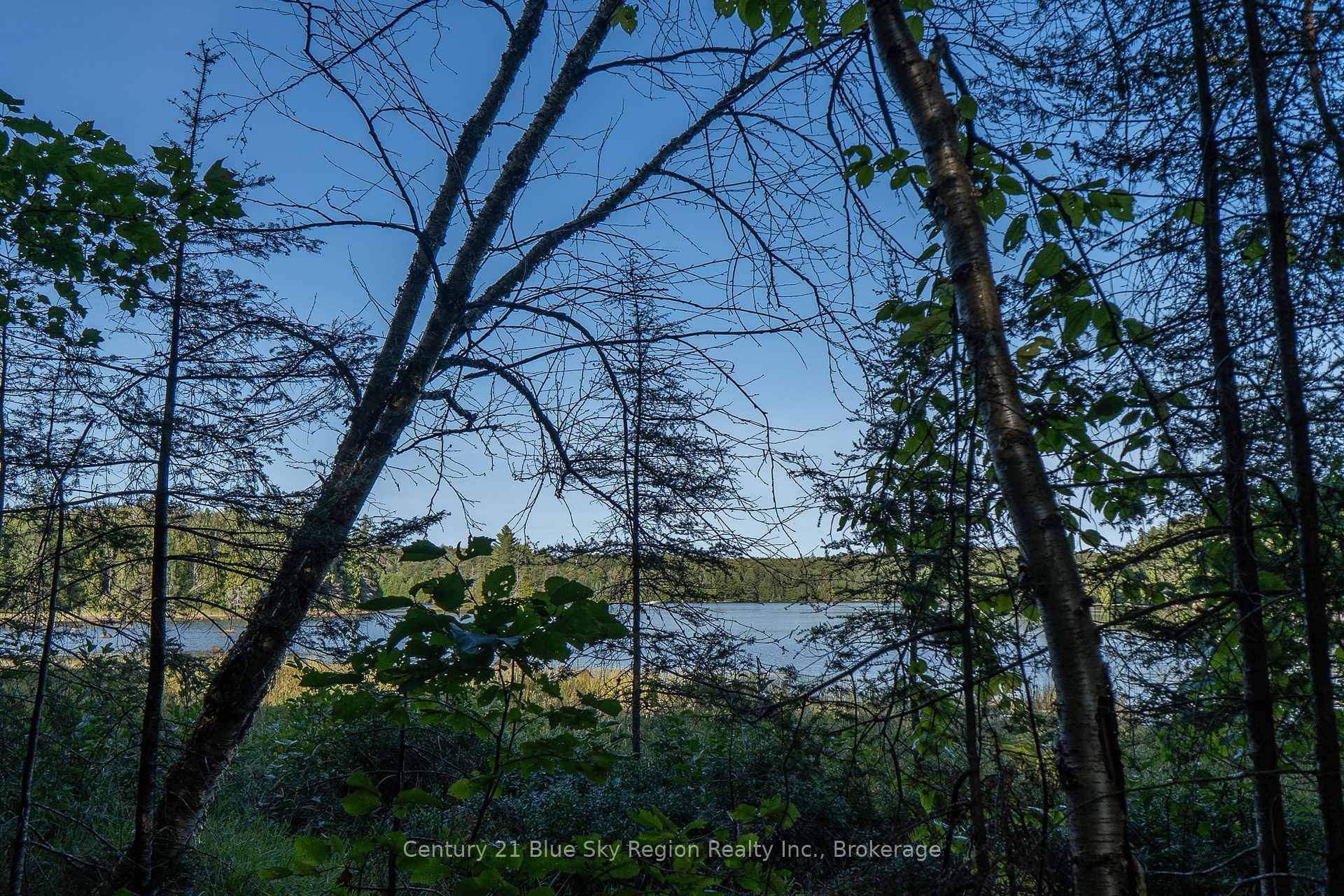 8. 4 Acres with 500 Ft of Waterfront on Four Mile Lake !