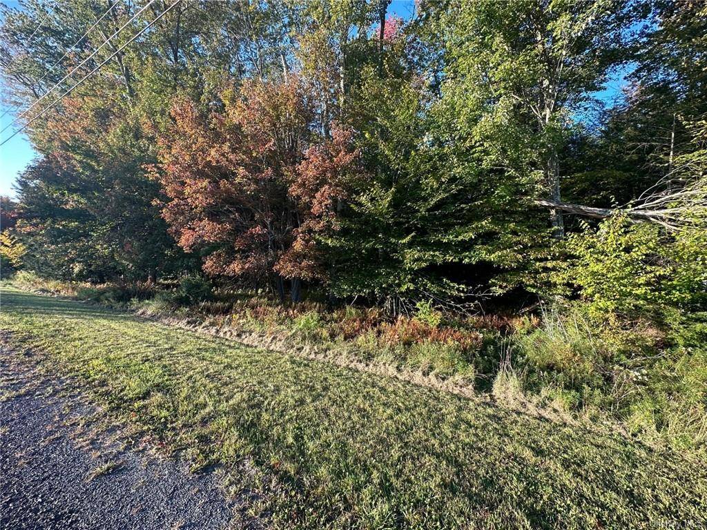 Amazing opportunity to own 5 acres of vacant residential land on Ulster Heights Road in Fallsburg on Route 52 near the intersection of Routes 17, 52, and 55.