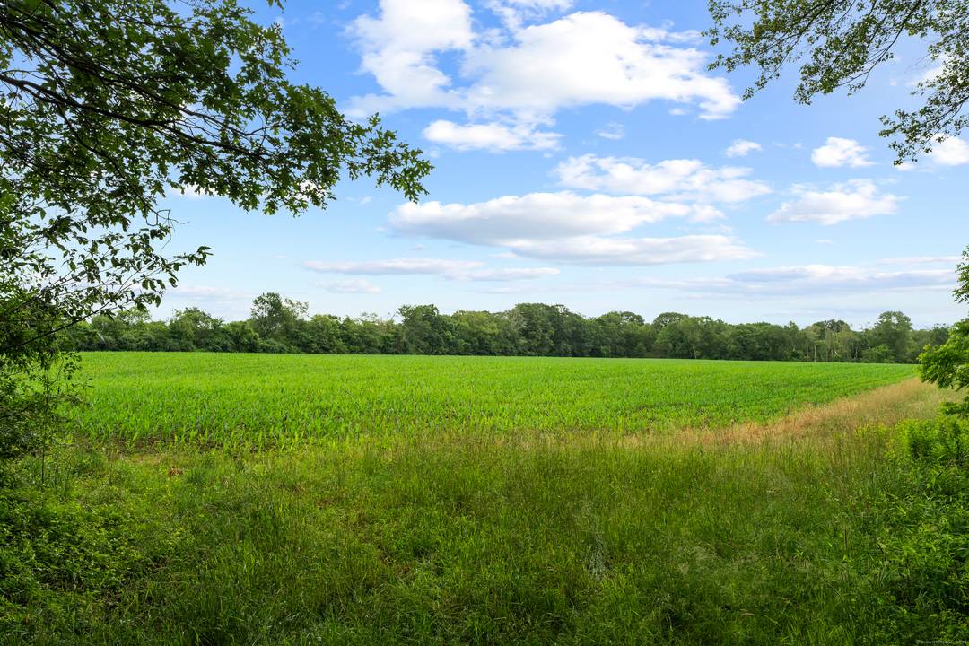 Rarely does such a magnificent 200 acre property located off a very quiet country road in North Stonington come available.